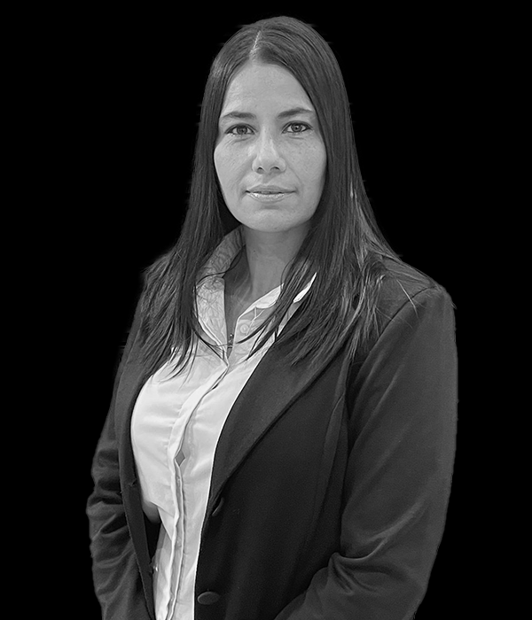lagoudis lamberti attorneys taryn desfontaines